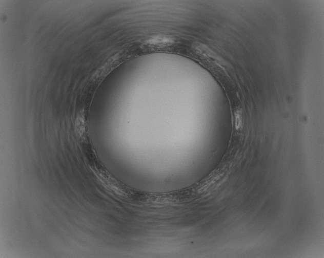 X0000073511011200608211734