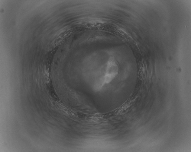 X0000073511013200608211734