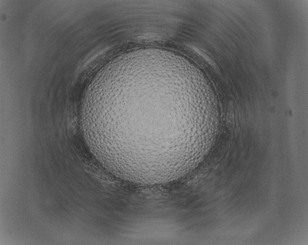 X0000073511015200608211734