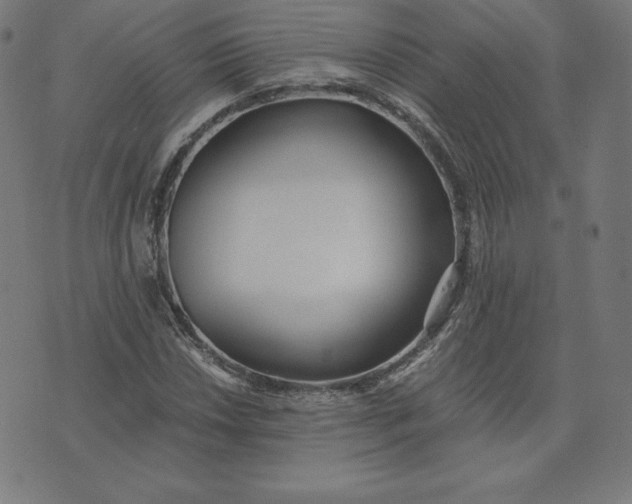 X0000073511018200608211734