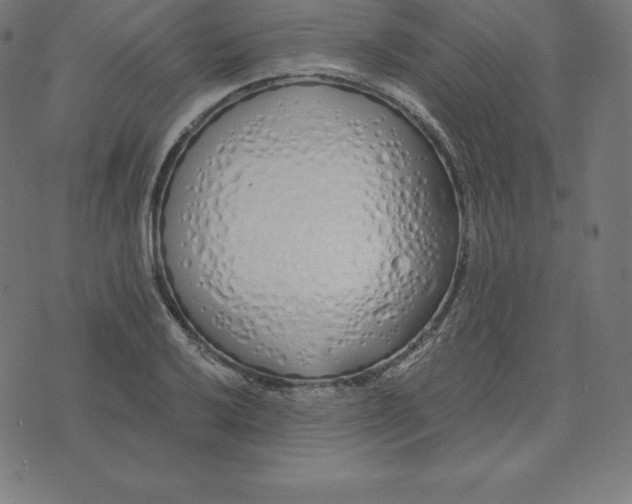 X0000073511032200608211734