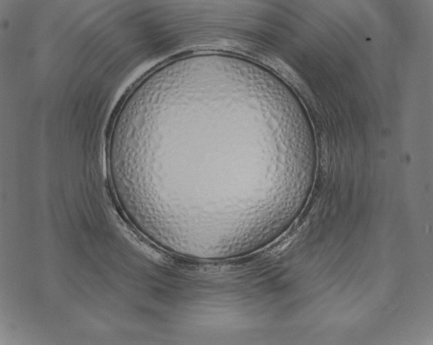 X0000073511036200608211735
