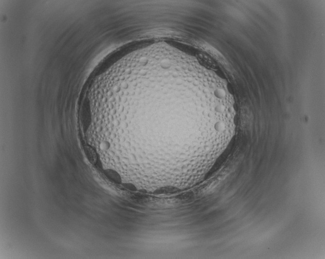 X0000073511039200608211735