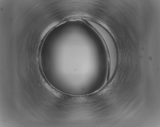 X0000073511042200608211735