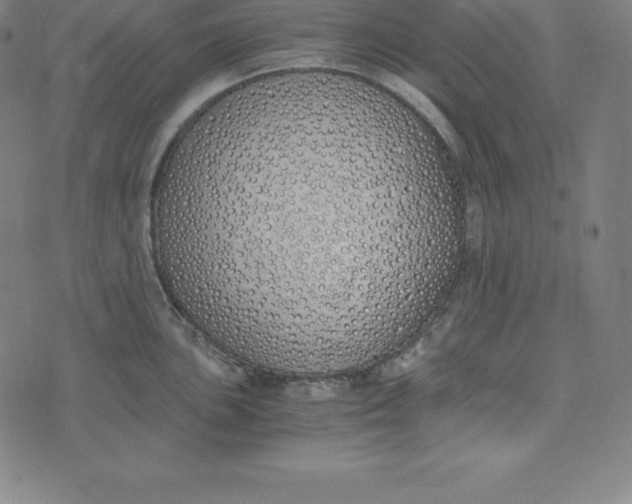 X0000073511051200608211735