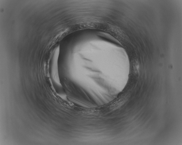X0000073511060200608211734