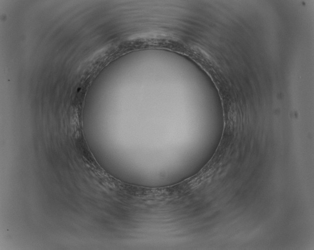 X0000073511062200608211734