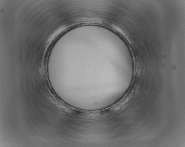 X0000073511074200608211734