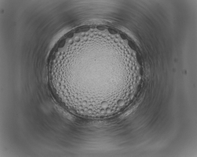 X0000073511075200608211734