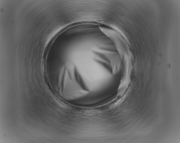 X0000073511077200608211734
