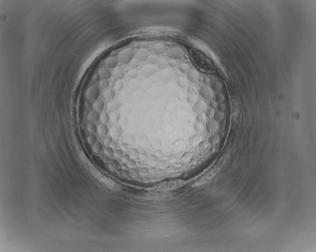 X0000073511091200608211734