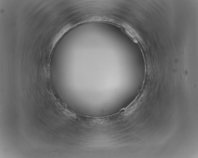 X0000073511097200608211733