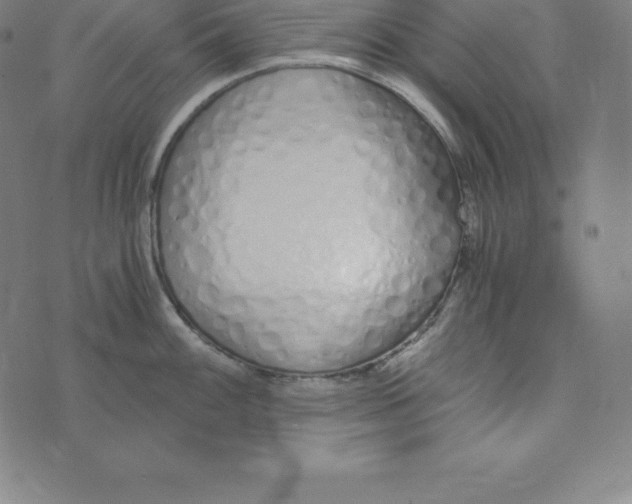 X0000073511100200608211733