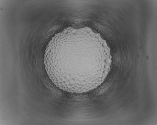 X0000073511105200608211733