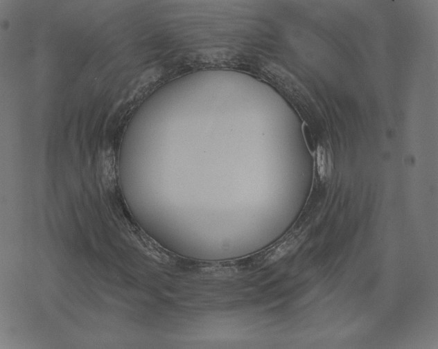 X0000073511107200608211733