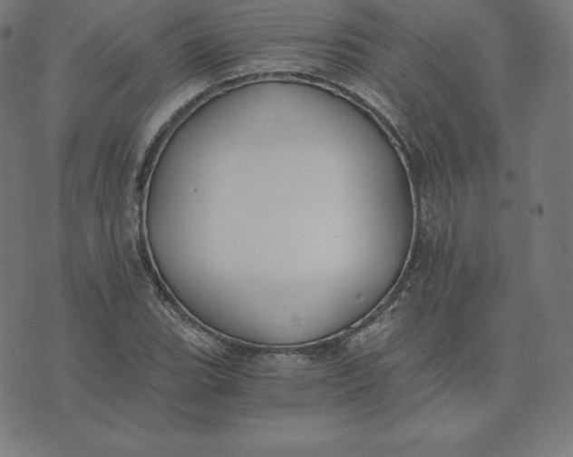X0000073511119200608211733
