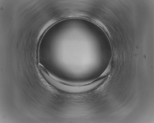 X0000073511138200608211733