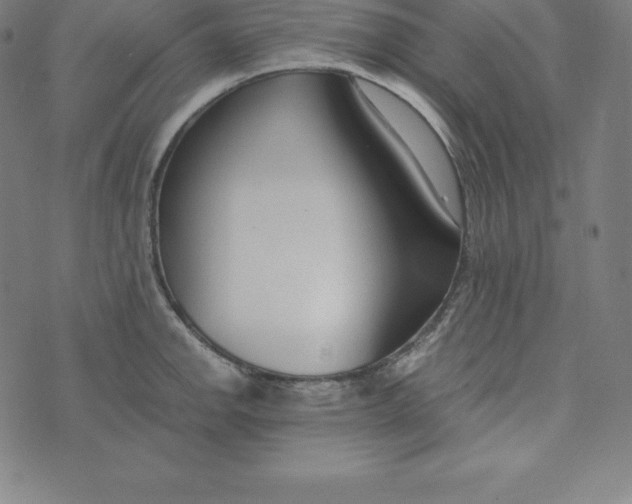 X0000073511142200608211733