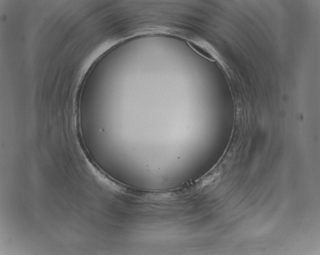 X0000073511143200608211733