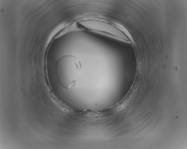 X0000073511146200608211733