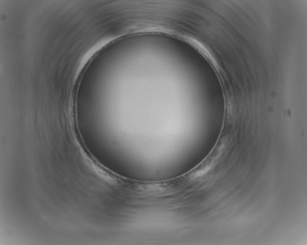 X0000073511149200608211733