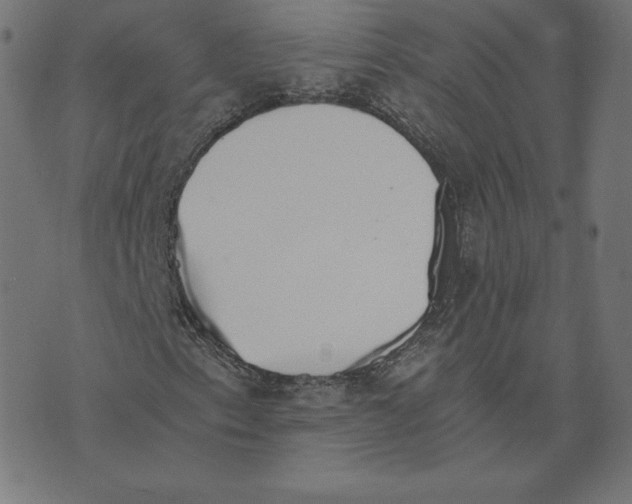 X0000073511153200608211733