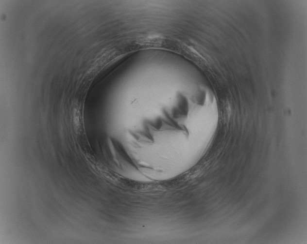 X0000073511154200608211733