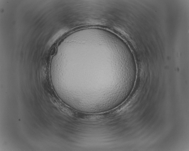 X0000073511163200608211732