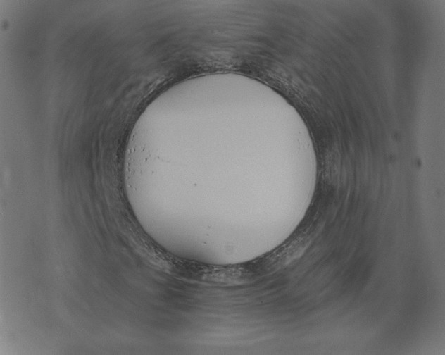 X0000073511201200608211731