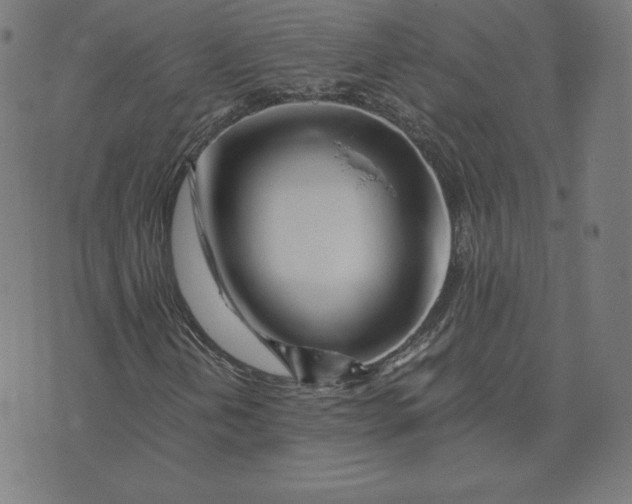 X0000073511202200608211731