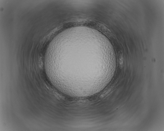 X0000073511204200608211731