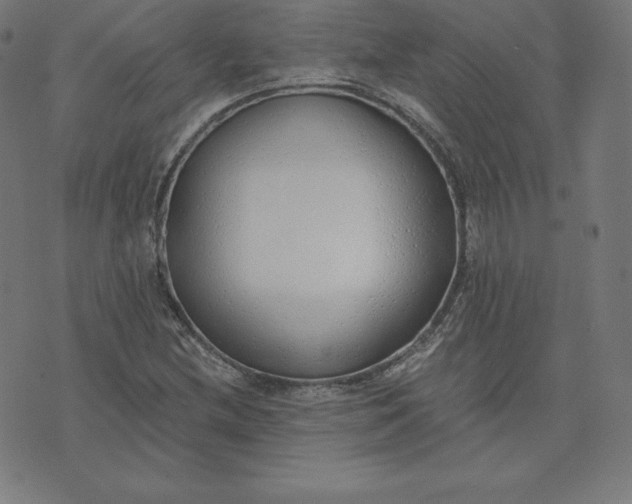X0000073511212200608211731