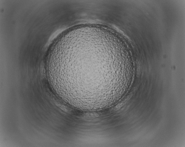 X0000073511215200608211731
