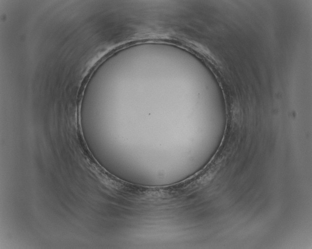 X0000073511220200608211731
