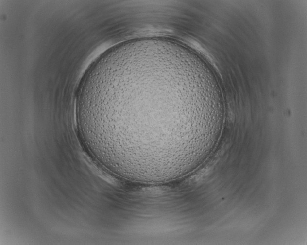 X0000073511227200608211731