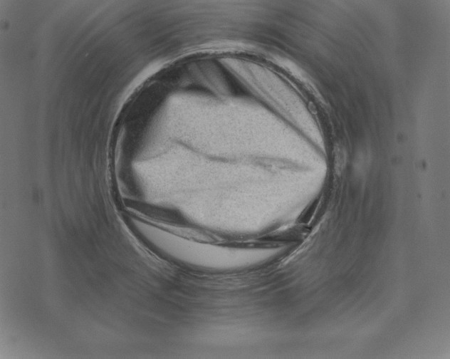 X0000073511229200608211731