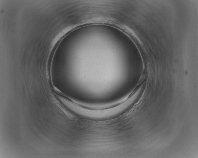 X0000073511230200608211731