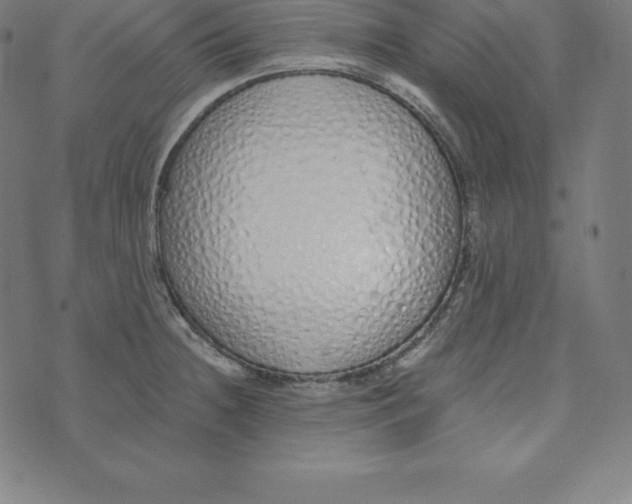 X0000073511236200608211732