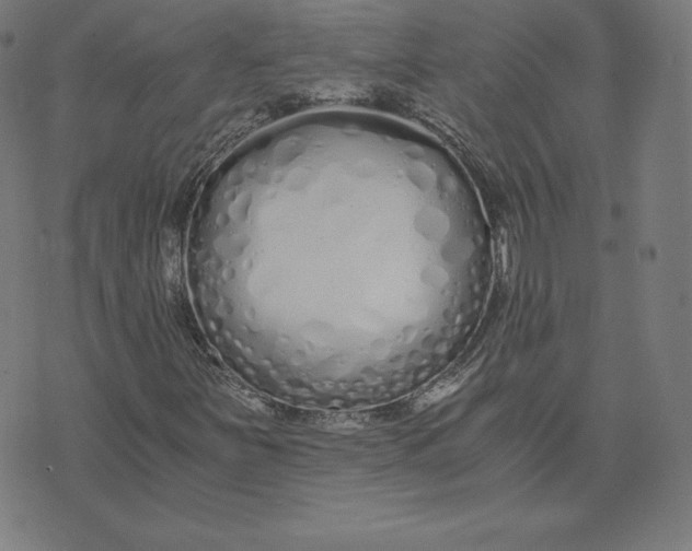 X0000073511251200608211731