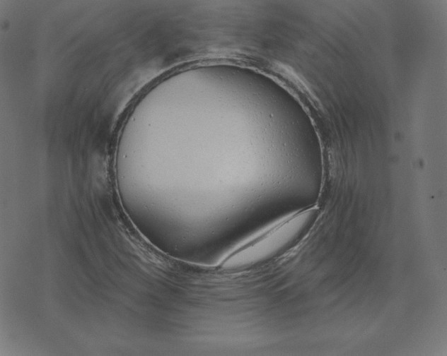 X0000073511260200608211731
