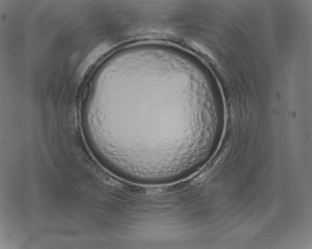 X0000073511267200608211731