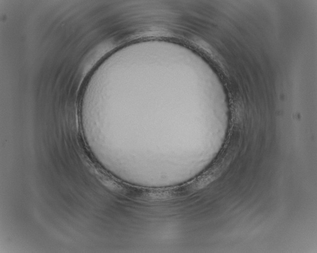 X0000073511274200608211731