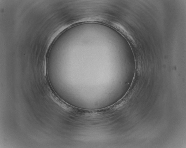 X0000073511276200608211731