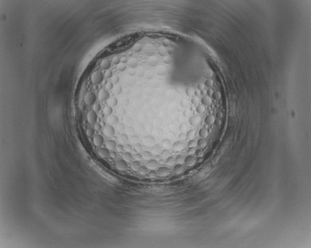 X0000073511287200608211730