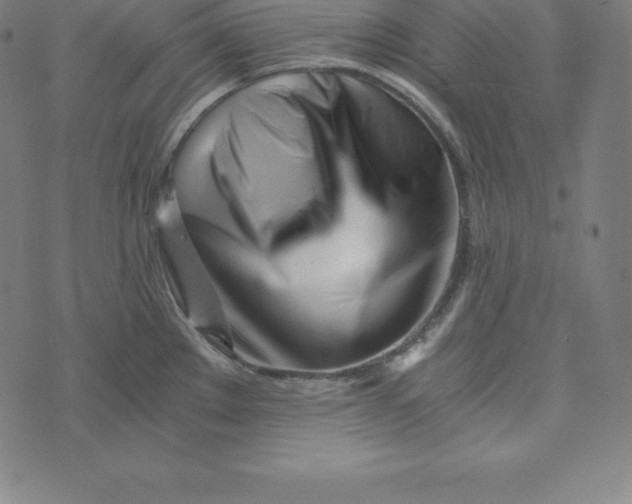 X0000073511289200608211730