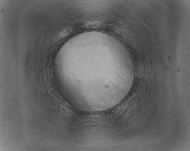 X0000073511297200608211729