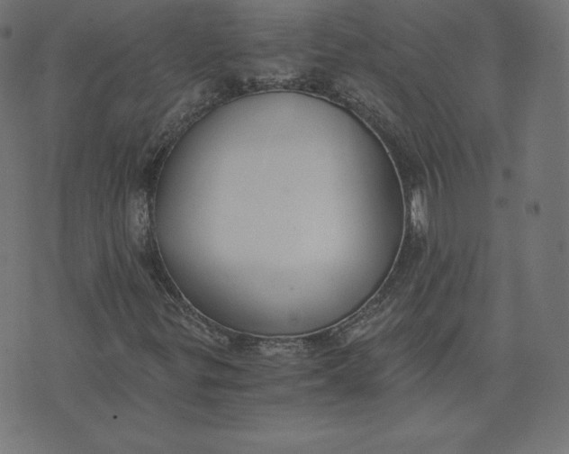X0000073511299200608211729