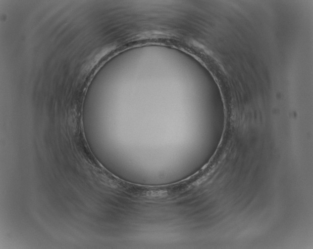X0000073511313200608211730