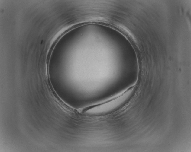 X0000073511324200608211730