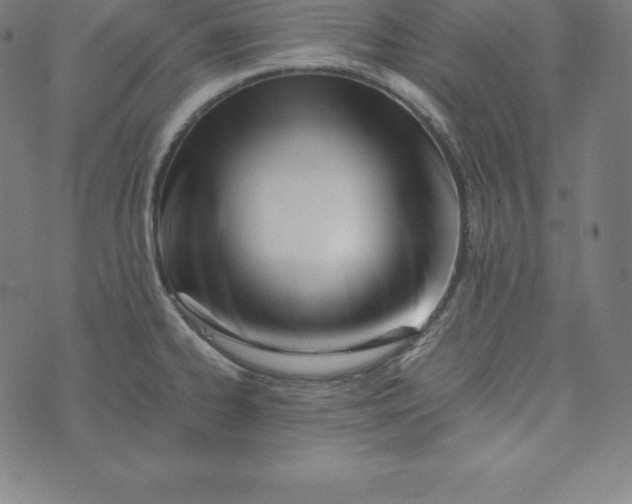 X0000073511334200608211730